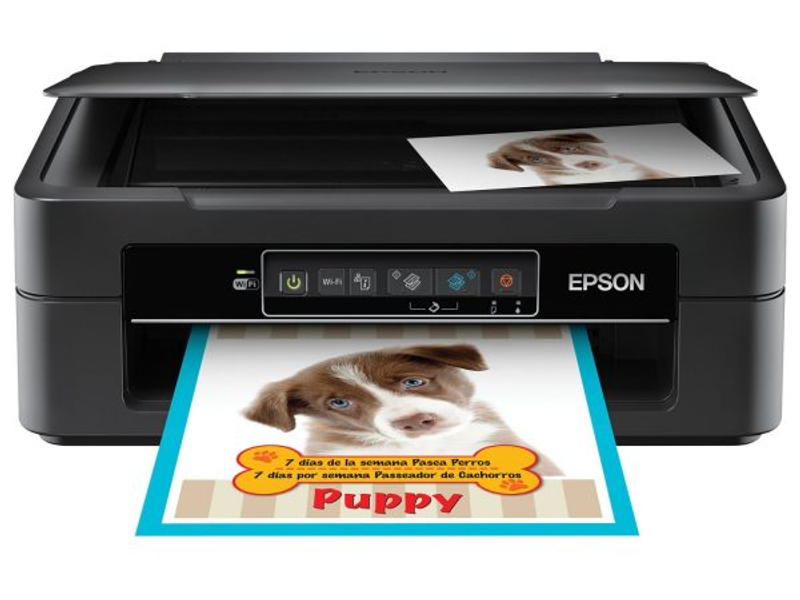 Impressora Epson Expression XP 241