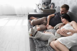 Como escolher um sofá-cama confortável?