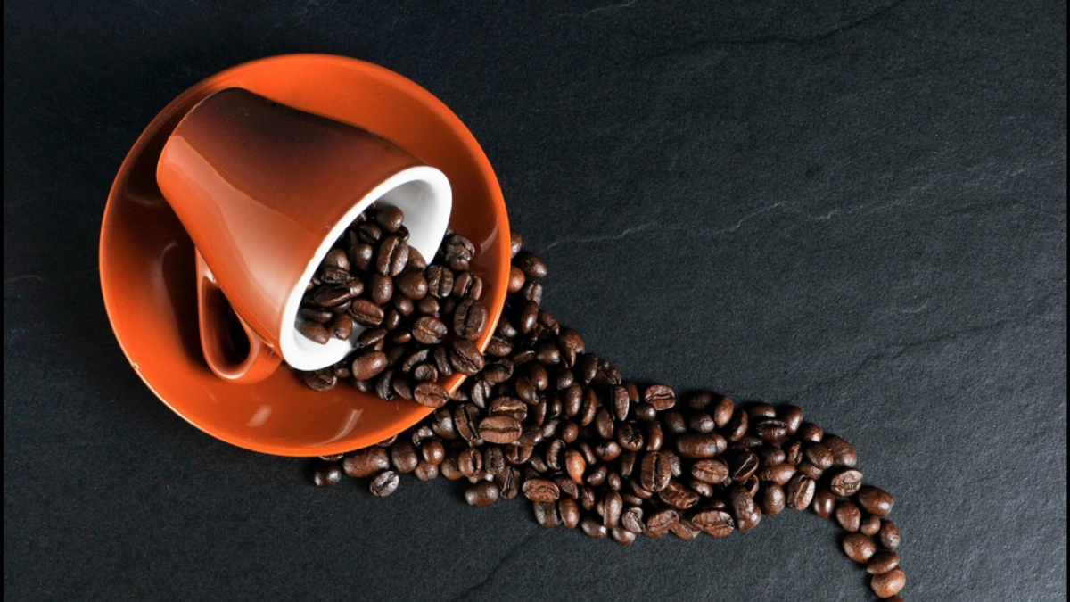 Conselhos para quem deseja mergulhar no mundo do café “gourmet”