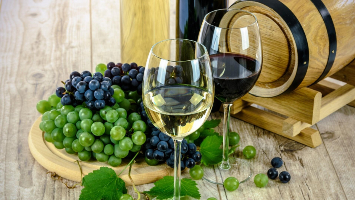 Conheça quais tipos de vinho existem e as diferenças entre eles