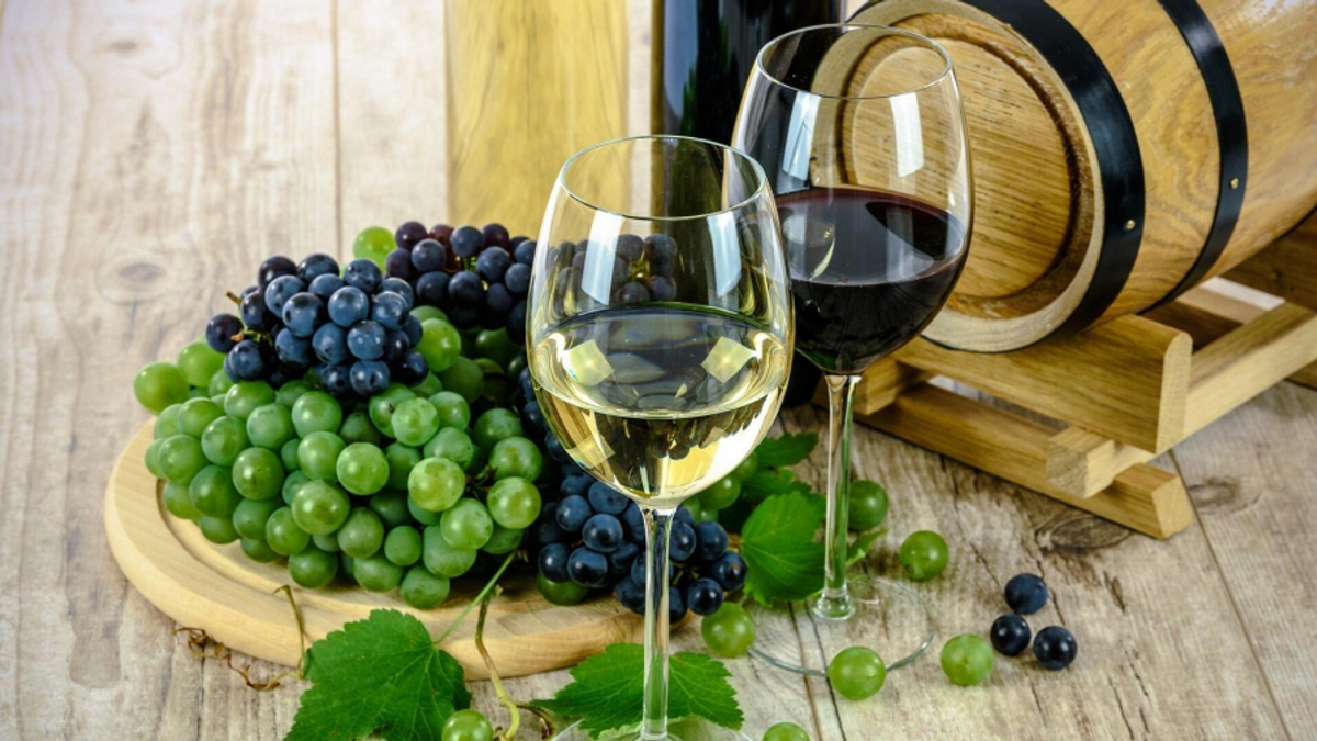 Qual a diferença entre vinho fino e vinho de mesa?