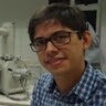 Émerson Miná