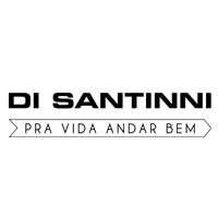 Logo da loja disantinni.com.br